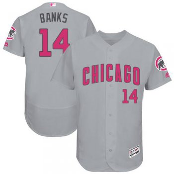 Chicago Cubs #14 Ernie Banks Grey Flexbase Authentic Collection Mother's Day Stitched MLB Jersey